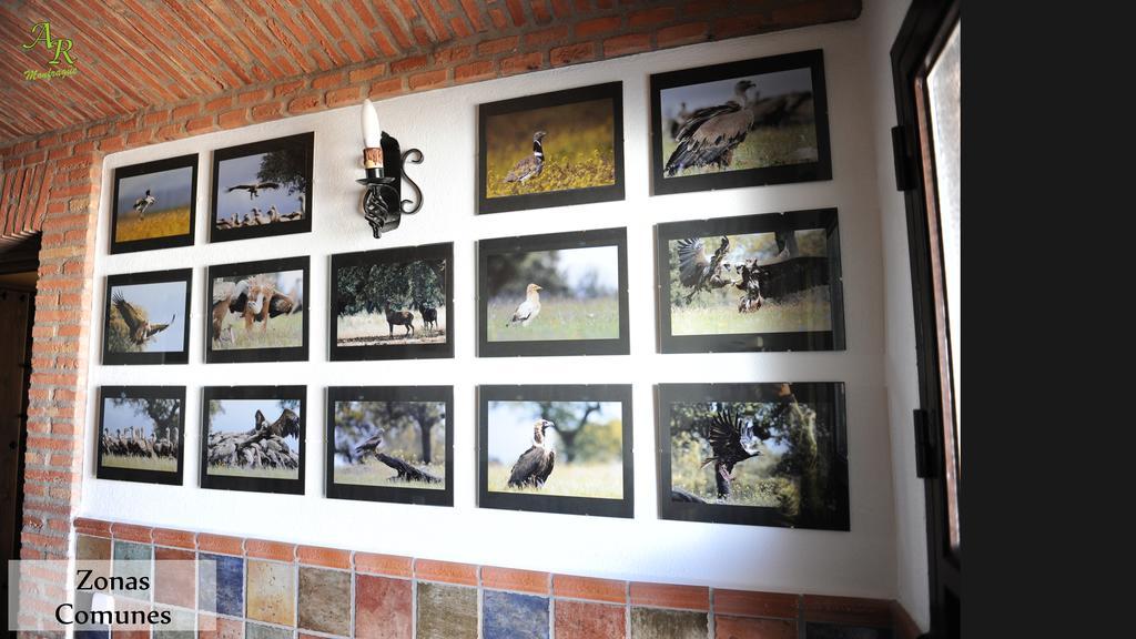 Apartamentos Rurales Monfraguee Torrejón el Rubio Extérieur photo